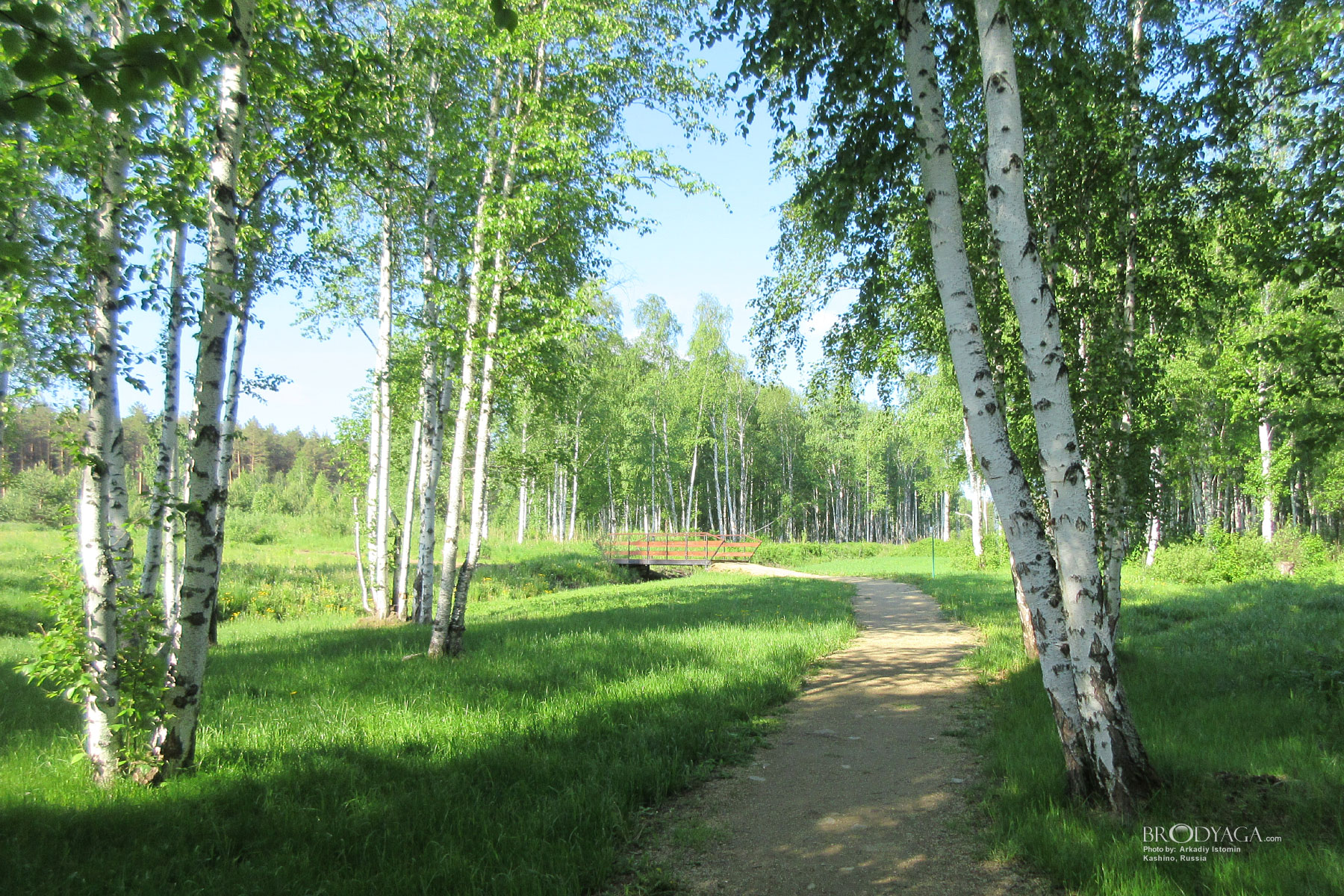 Zapovednik, Kashino (посёлок Заповедник, Кашино)